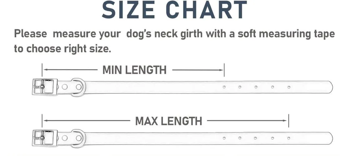 Flat Dog Collars 3/4"