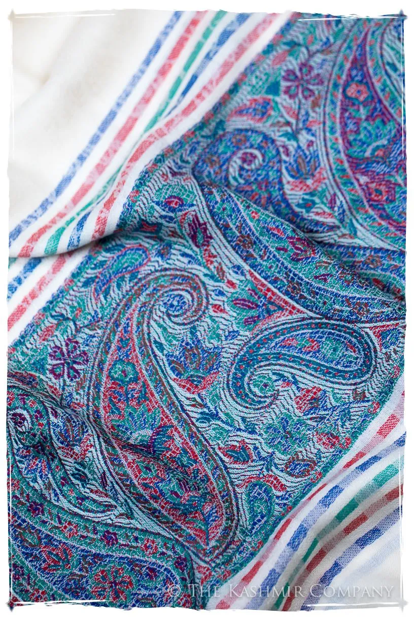 Graziella Frontière Ivory Kashmir Wool Scarf