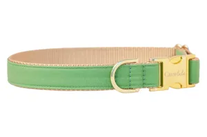 Laurel Green Dog Collar