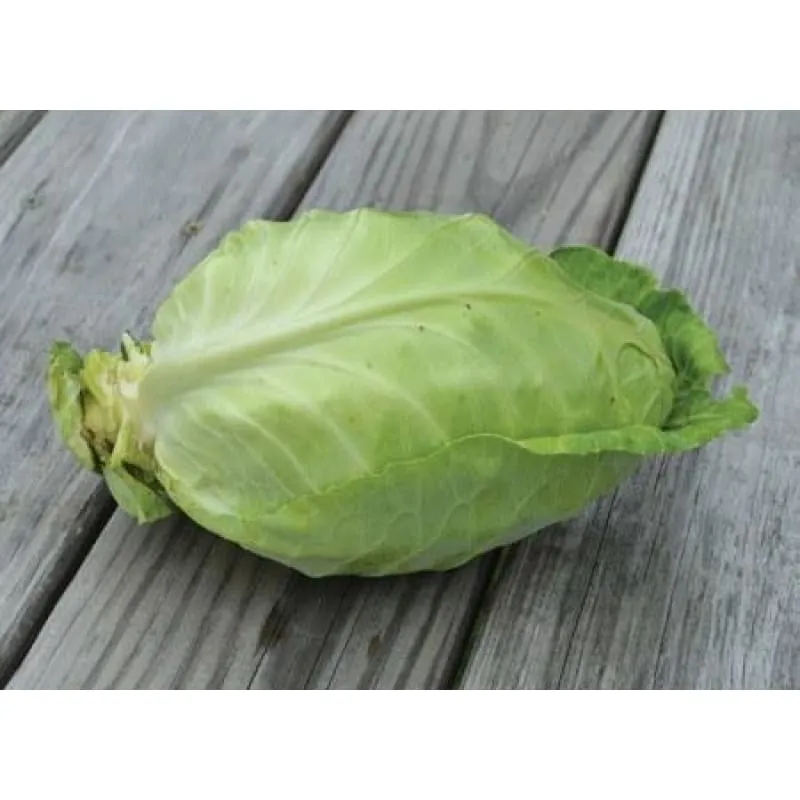 Point One Cabbage (F1 Hybrid, 48 Days)