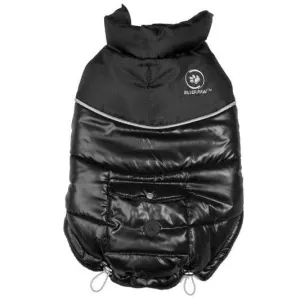 Silver Paw Stylist Winter Jacket