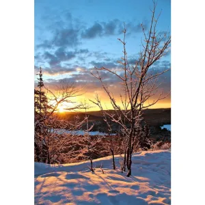 Winter Sunrise